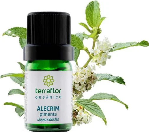 Óleo Essencial de Alecrim Pimenta (Orgânico) Terra Flor - Frasco com 5ml - Mundo dos Óleos