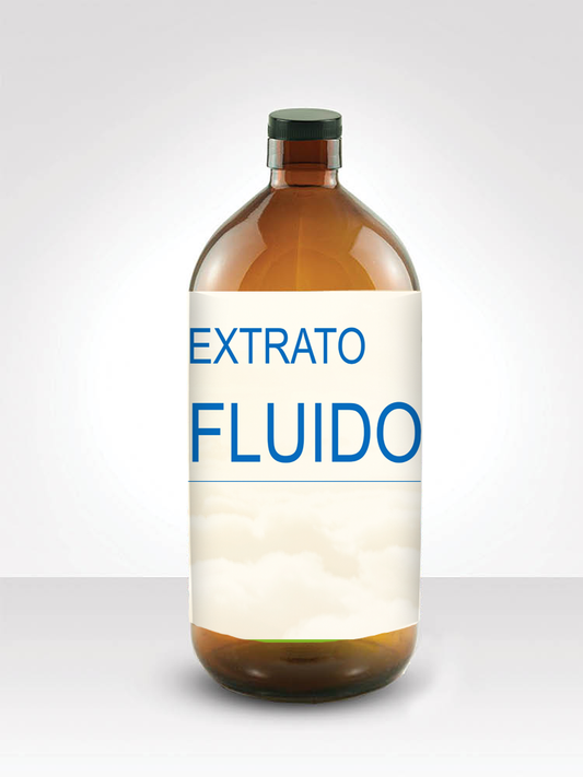 Extrato Fluido de Verbena - EBPM - Frasco com 1 Litro - Mundo dos Óleos