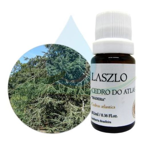 Óleo Essencial de Cedro Atlas "Madeira" (Gt Marrocos) - Laszlo - Frasco com 10ml - Mundo dos Óleos