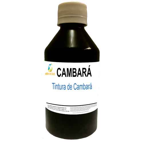 Tintura de Cambará - Mundo dos Óleos