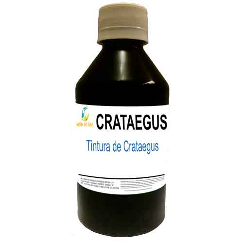 Tintura de Crataegus - Mundo dos Óleos