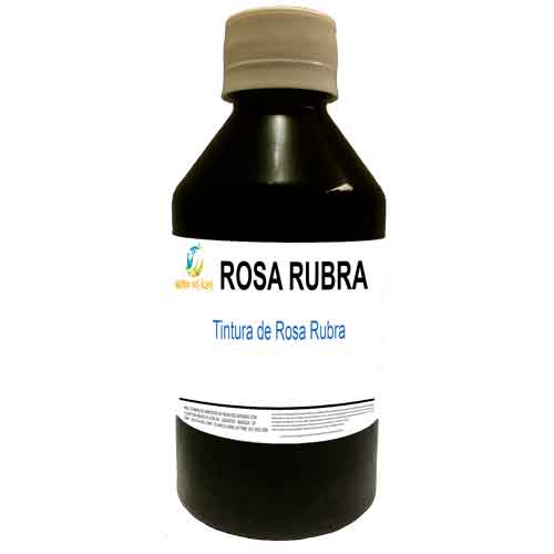 Tintura de Rosa Rubra - Mundo dos Óleos