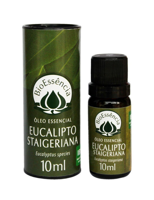 Óleo Essencial de Eucalipto Staigeriana - BioEssência - Frasco com 10ml - Mundo dos Óleos