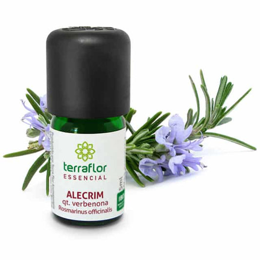 Óleo Essencial de Alecrim Qt. Verbenona- Terra Flor - Frasco com 5ml - Mundo dos Óleos