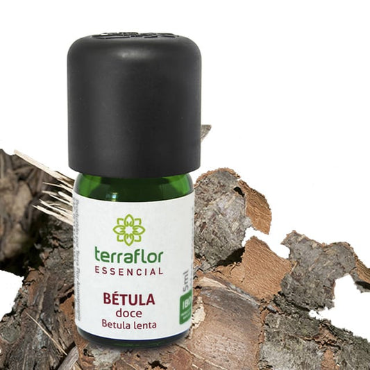 Óleo Essencial de Bétula doce - Terra Flor - Frasco com 5ml - Mundo dos Óleos