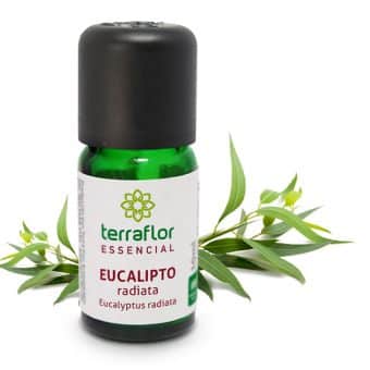 Óleo Essencial de Eucalipto Radiata - Terra Flor - Frasco com 10ml - Mundo dos Óleos